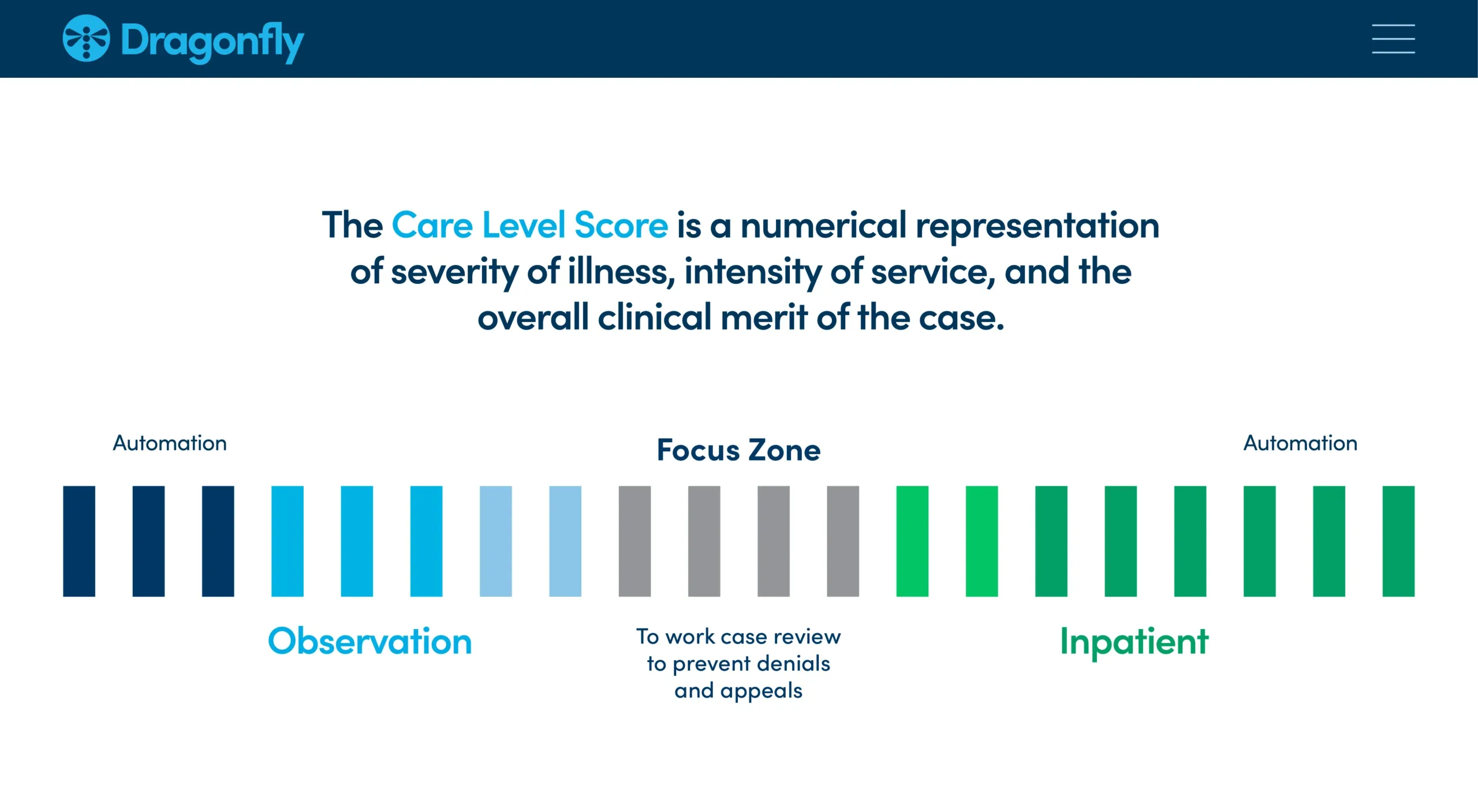 Dragonflu Utilize and Care Level Score