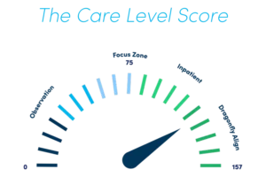Care-Level-Score-Title-Gauge